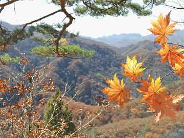 最新孝感市委常委名单揭晓，共绘发展新蓝图