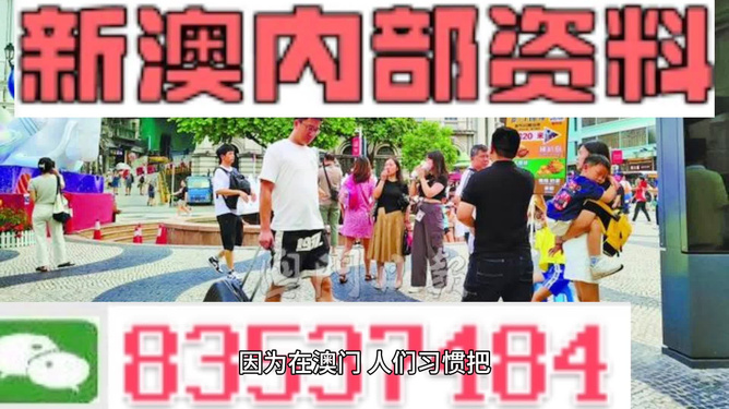 2024新澳精准资料大全，全面解析与实用指南