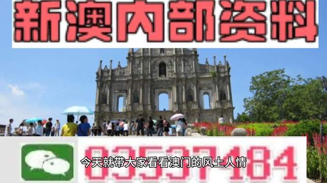 2024年新澳资料免费公开，一场知识共享的盛宴