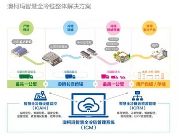 新奥天天免费资料大全正版优势,逻辑解答分析解释路径_便宜款84.971