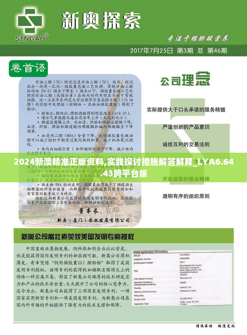 新澳2024年精准正版资料——引领未来，共创辉煌