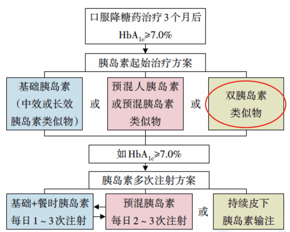 新澳资料正版免费资料，探索与获取的指南