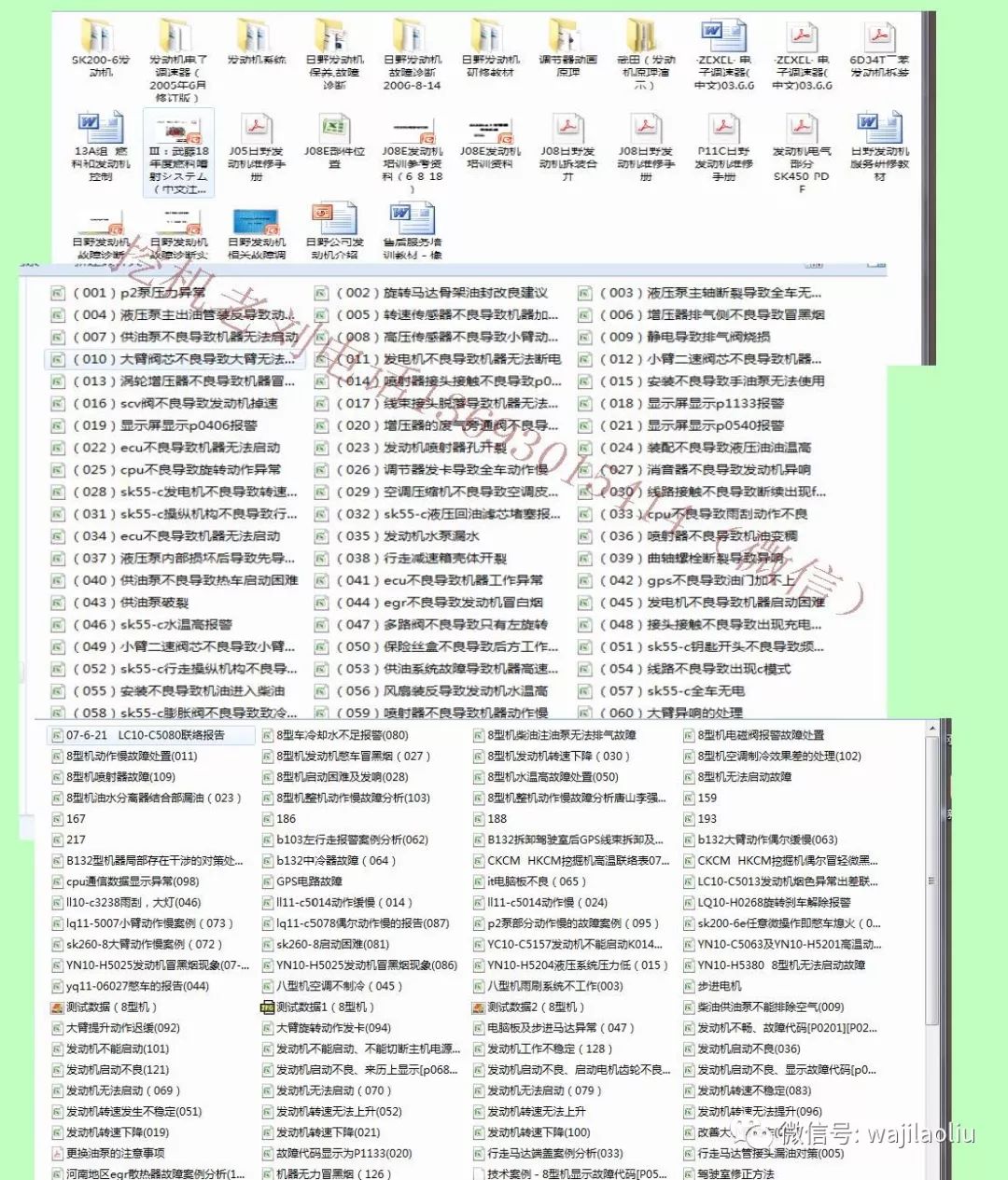 王中王，免费资料大全的探索与解读