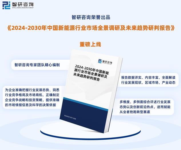 2024年新奥天天免费资料第53期——深度解析与实用指南