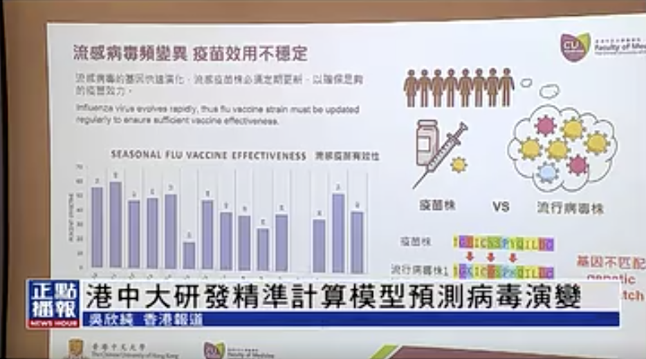 香港资料大全，2024年精准预测的探索与展望