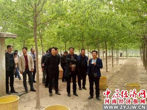 通许县城最新招聘信息，就业新机遇与求职者的福音