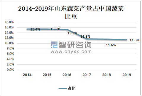 山东大白菜市场行情分析——最新价格揭秘