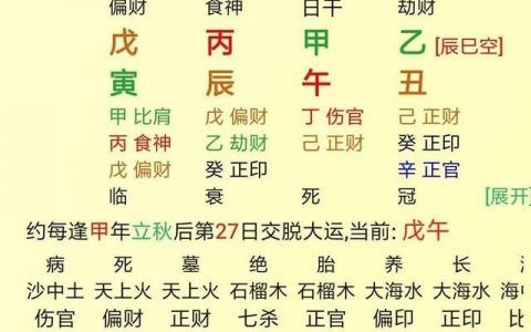 八字排盘宝，最新解读命运之谜